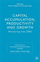Malgarini, M Malgarini, M. Malgarini, Marco Malgarini, Piga, Piga... - Capital Accumulation, Productivity and Growth