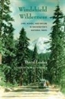 David Louter - Windshield Wilderness