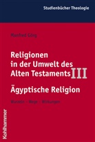 Manfred Görg, Erich Zenger, Eric Zenger u a, Erich Zenger u a - Religionen in der Umwelt des Alten Testaments - 3: Ägyptische Religion