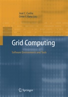 Omer F. Rana, Cardoso Cunha, Cardoso Cunha, Jose C. Cunha, Jose Cardoso Cunha, Ome F Rana... - Grid Computing: Software Environments and Tools