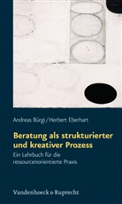 Andreas BÃ¼rgi, Andrea Bürgi, Andreas Bürgi, Herbert Eberhart - Beratung als strukturierter und kreativer Prozess