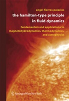 Angel Fierros Palacios, Angel Fierros Palacios - The Hamilton-Type Principle in Fluid Dynamics