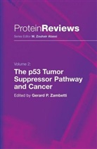 Gerar P Zambetti, Gerard P Zambetti, G. P. Zambetti, Gerard P. Zambetti - The p53 Tumor Suppressor Pathway and Cancer
