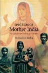 Mrinalini Sinha, Sinha, Mrinalini Sinha - Specters of Mother India