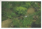 Postkarte BAC757