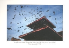 Pagode, Kathmandu