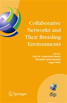 Hamideh Afsarmanesh, Luis M. Camarinha-Matos, Angel Ortiz - Collaborative Networks and Their Breeding Environments