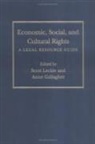 Scott (EDT)/ Gallagher Leckie, Scott Gallagher Leckie, Anne Gallagher, Scott Leckie - Economic, Social, and Cultural Rights