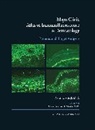 Amer N. Kalaaji, Amer N. Nicolas Kalaaji, Amir N. Kalaaji, Kalaaji Amer N., Marie E. O. Nicolas, Marie E.O. Nicolas... - Mayo Clinic Atlas of Immunofluorescence in Dermatology