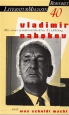 Delf Schmidt, Martin Lüdke, Delf Schmidt - Literaturmagazin - Bd. 40: Literaturmagazin 40