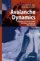 K. Hutter, Kolumban Hutter, S Pudasaini, S P Pudasaini, S. P. Pudasaini - Avalanche Dynamics