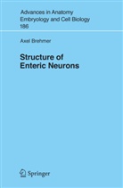 Axel Brehmer - Structure of Enteric Neurons