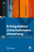 Wolfgang Walter - Erfolgsfaktor Unternehmenssteuerung, m. CD-ROM