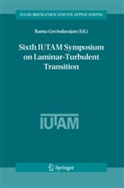 Rama Govindarajan, Rama Govindarajan - Sixth IUTAM Symposium on Laminar-Turbulent Transition