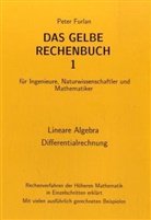 Peter Furlan - Das Gelbe Rechenbuch für Ingenieure, Naturwissenschaftler und Mathematiker - 1: Lineare Algebra, Differentialrechnung