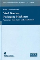Carlo Catalano, Carlos E. Catalano, Carlos Enrique Catalano, Carlo E Catalano, Carlos E Catalano - Viral Genome Packaging