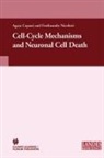 A. Copani, F. Nicoletti, Agat Copani, Agata Copani, Nicoletti, Nicoletti... - Cell Cycle and Neuronal Death
