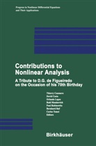 Thierry Cazenave, Davi Costa, David Costa, Orlando Lopes, Orlando Lopes et al, Raul Manasevich... - Nonlinear Differential Equations