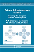 L. J. De Vries, L.J. De Vries, A Gheorghe, A V Gheorghe, A. V. Gheorghe, A.V. Gheorghe... - Critical Infrastructures at Risk