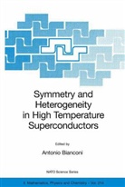 Biancone, Antoni Bianconi, Antonio Bianconi - Symmetry and Heterogeneity in High Temperature Superconductors