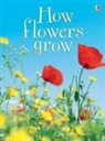 Emma Helbrough, Uwe Mayer - How Flowers Grow