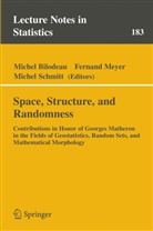 Michel Bilodeau, Fernan Meyer, Fernand Meyer, Michel Schmitt - Space, Structure and Randomness