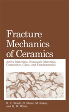 R C Bradt, R. C. Bradt, R.C. Bradt, Richard C. Bradt, Munz, D Munz... - Fracture Mechanics of Ceramics