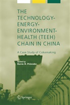 Kare Polenske, Karen Polenske, Karen R. Polenske - The Technology-Energy-Environment-Health (TEEH) Chain In China