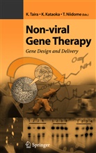 Kazunari Taira, K. Kataoka, Kazunor Kataoka, Kazunori Kataoka, T. Kazunari, K. Kazunori... - Non-viral Gene Therapy