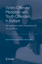 GHETTI, Ghetti, S. Ghetti, Simona Ghetti, A. Mestitz, Ann Mestitz... - Victim-Offender Mediation with Youth Offenders in Europe