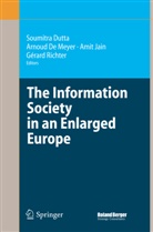 Arnou De Meyer, Arnoud De Meyer, A. DeMeyer, Soumitra Dutta, A. Jain, Amit Jain... - The Information Society in an Enlarged Europe