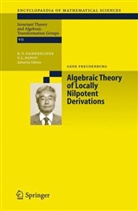 Gene Freudenburg - Algebraic Theory of Locally Nilpotent Derivations