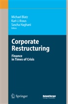 Michael Blatz, Sascha Haghani, Karl- Kraus, Karl-J Kraus, Karl-J. Kraus - Corporate Restructuring