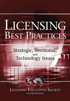 Goldscheider, R Goldscheider, Robert Goldscheider, Robert Gordon Goldscheider, GOLDSCHEIDER ROBERT GORDON ALAN, Gordon... - Licensing Best Practices