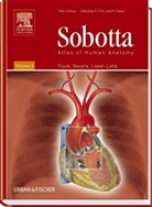 Johan Sobotta, Johannes Sobotta, F. Paulsen, Friedrich Paulsen, J. Waschke, Jens Waschke - Atlas of Human Anatomy - Vol.2: Atlas of Human Anatomy Volume 2