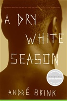 Andre Brink, André Brink, Andre Philippus Brink - A Dry White Season