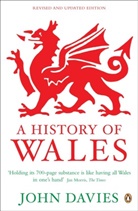 John Davies - A Historym of Wales