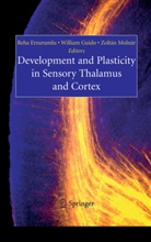 R. Erzurumlu, Reha Erzurumlu, W. Guido, Willia Guido, William Guido, Z Molnar... - Development and Plasticity in Sensory Thalamus and Cortex