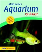Bernd Degen - Mein erstes Aquarium zu Hause