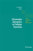 Breho Laurent, Brehon Laurent, Brehon C. Laurent - Chromatin Dynamics in Cellular Function