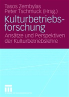 Tschmuck, Tschmuck, Peter Tschmuck, Taso Zembylas, Tasos Zembylas - Kulturbetriebsforschung