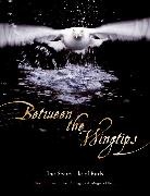 Brutus Ostling, Brutus/ Ostling Ostling, Magnus Ullman, Magnus Ulman - Between the Wingtips