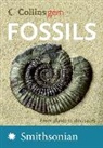 Douglas Palmer - Collins Gem Fossils