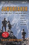 Gary Berntsen, Ralph Pezzullo - Jawbreaker