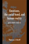 Thomas J. Scheff, Scheff Thomas J. - Emotions, the Social Bond, and Human Reality