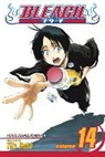 Mitsuri Adachi, Tite Kubo, Tite Kubo, Tite Kubo - Bleach, Vol. 14