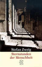 Stefan Zweig - Gesammelte Werke in Einzelbänden: Sternstunden der Menschheit