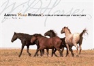 Lynne Pomeranz, Lynne Pomeranz - Among Wild Horses