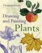 Christina Brodie - Painting and Drawing Plants