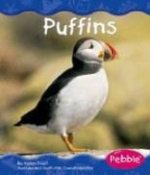 Helen Frost - Puffins